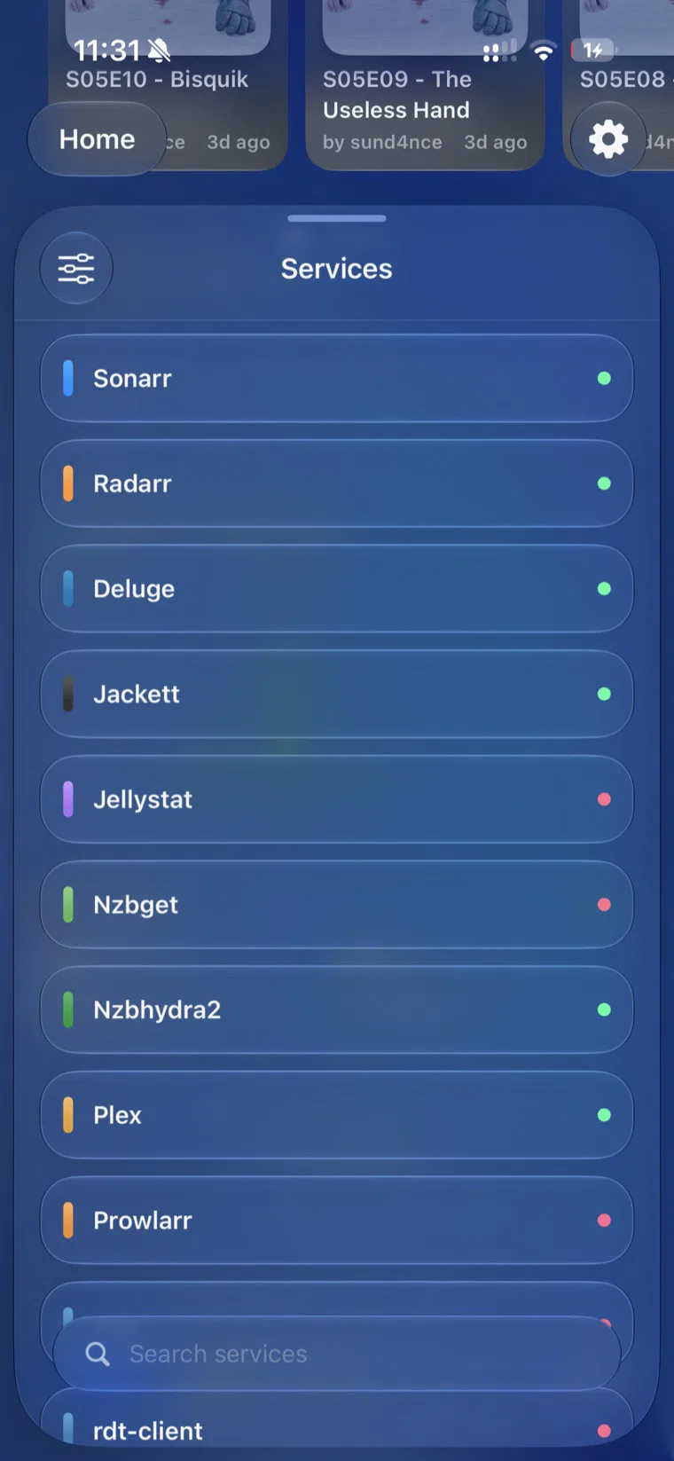 Helmarr services list showing connected services including Sonarr, Radarr, Plex, Prowlarr, and NZBHydra2